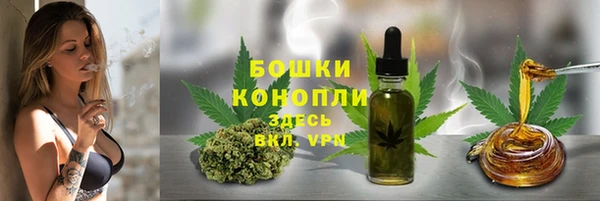 прущие грибы Алзамай