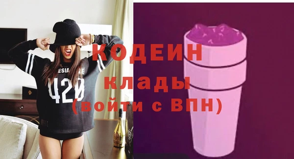 прущие грибы Алзамай