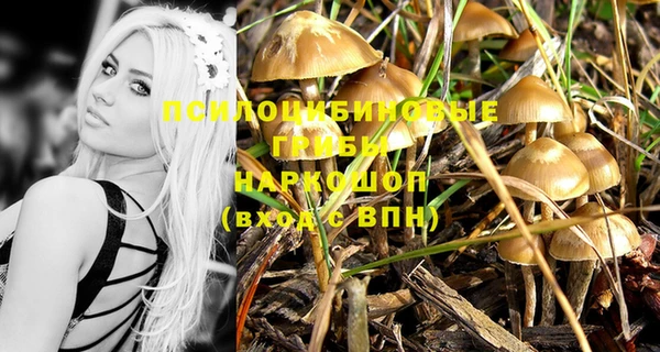 PSILOCYBIN Алексин