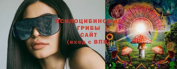 прущие грибы Алзамай