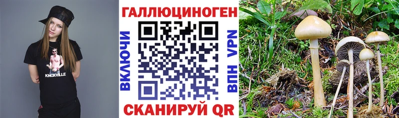 цена   Железногорск  Псилоцибиновые грибы прущие грибы 